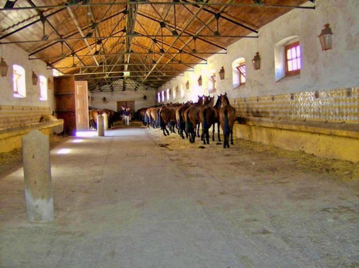 6 Persoons Vakantiewoning Portugal - Casa Do Balao - En - Casa Pequeno Pintor Figueira e Barros Buitenkant foto